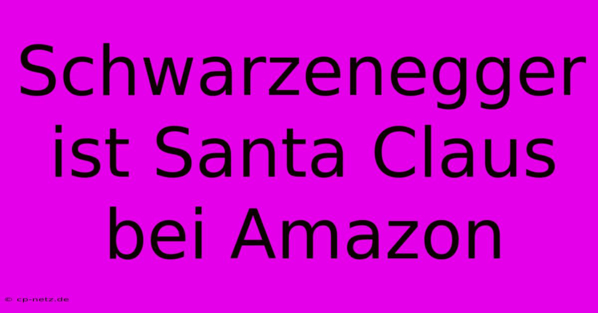 Schwarzenegger Ist Santa Claus Bei Amazon