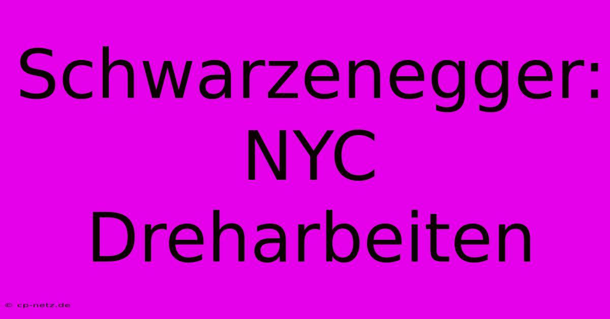 Schwarzenegger: NYC Dreharbeiten