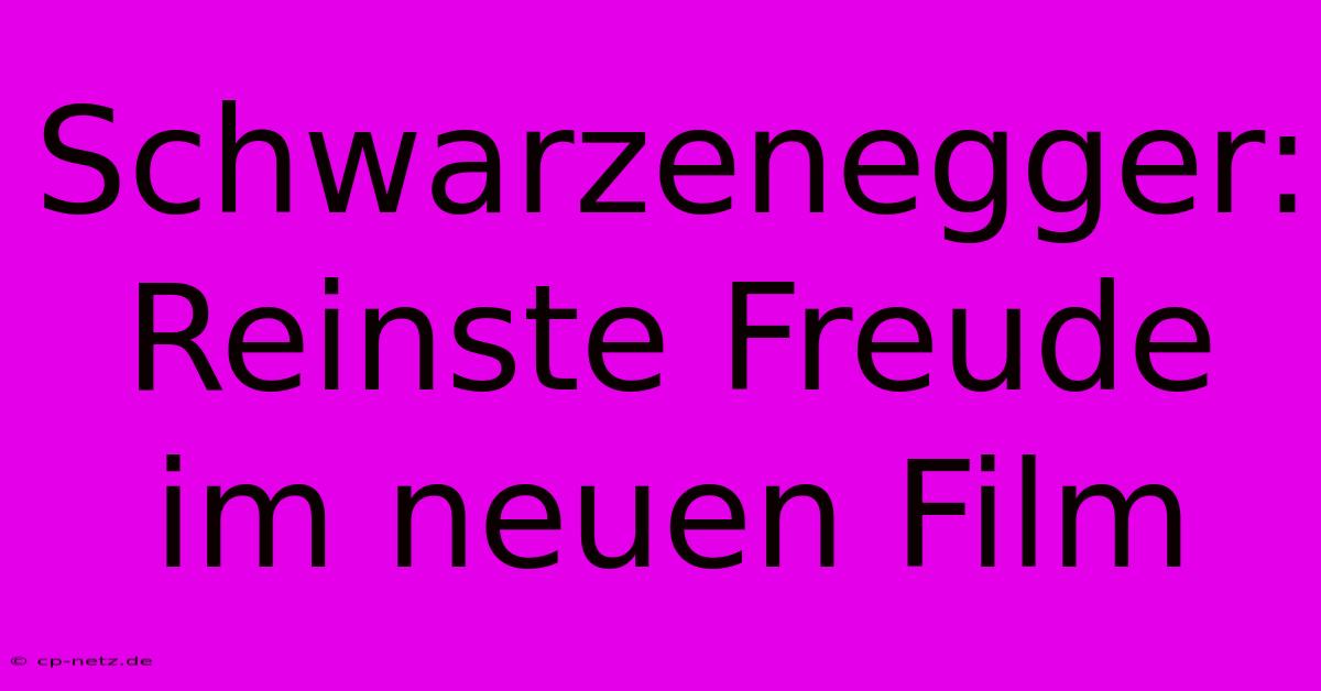 Schwarzenegger: Reinste Freude Im Neuen Film