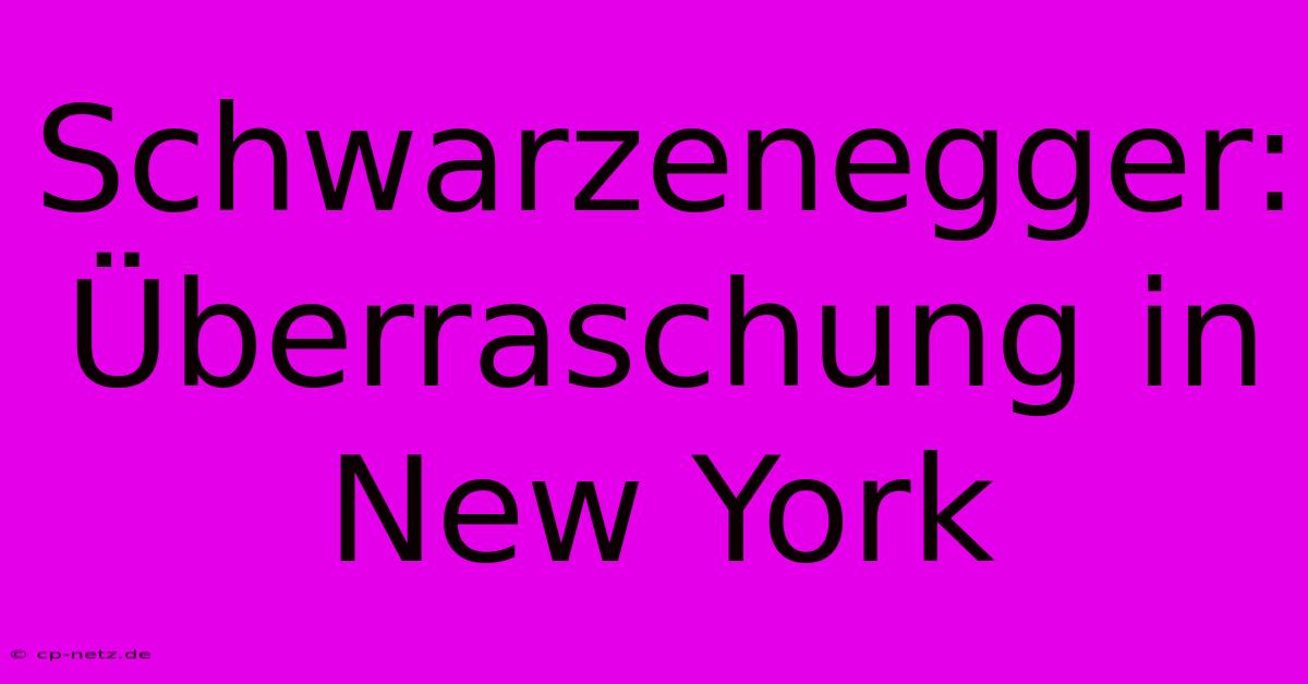 Schwarzenegger: Überraschung In New York