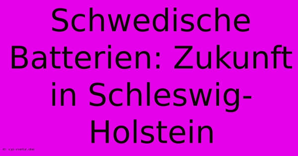 Schwedische Batterien: Zukunft In Schleswig-Holstein