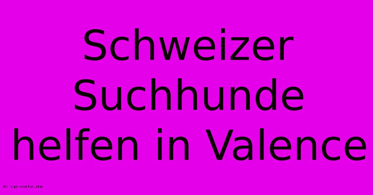 Schweizer Suchhunde Helfen In Valence