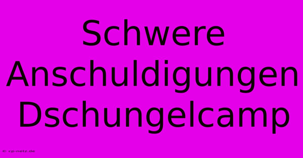 Schwere Anschuldigungen Dschungelcamp