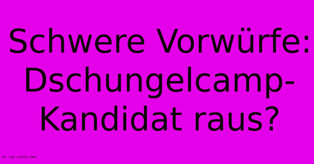 Schwere Vorwürfe: Dschungelcamp-Kandidat Raus?