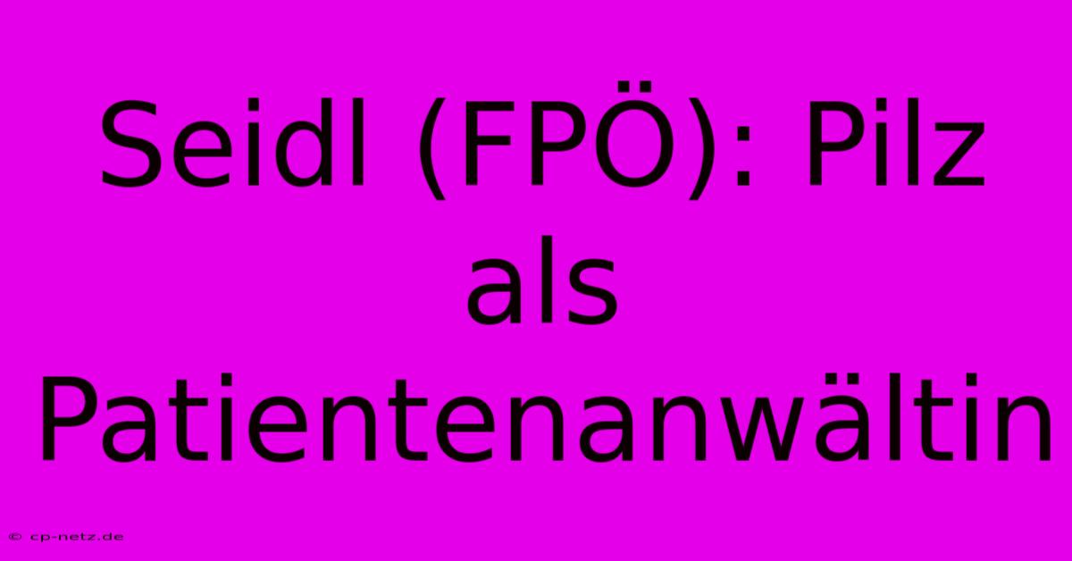 Seidl (FPÖ): Pilz Als Patientenanwältin