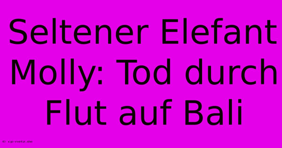 Seltener Elefant Molly: Tod Durch Flut Auf Bali