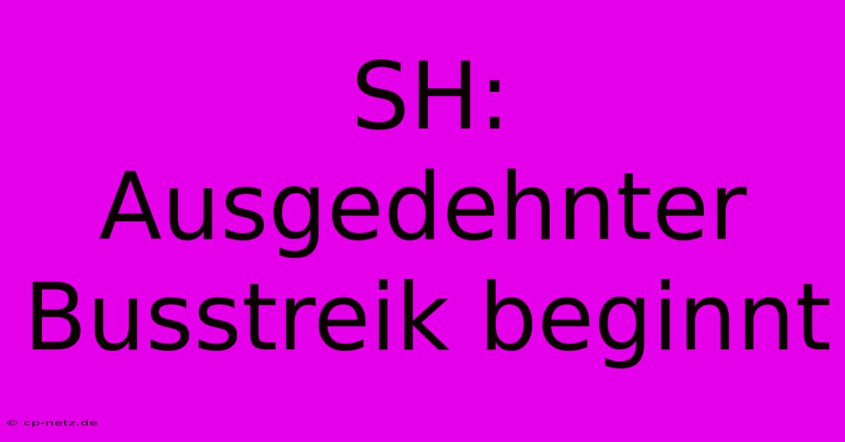 SH: Ausgedehnter Busstreik Beginnt