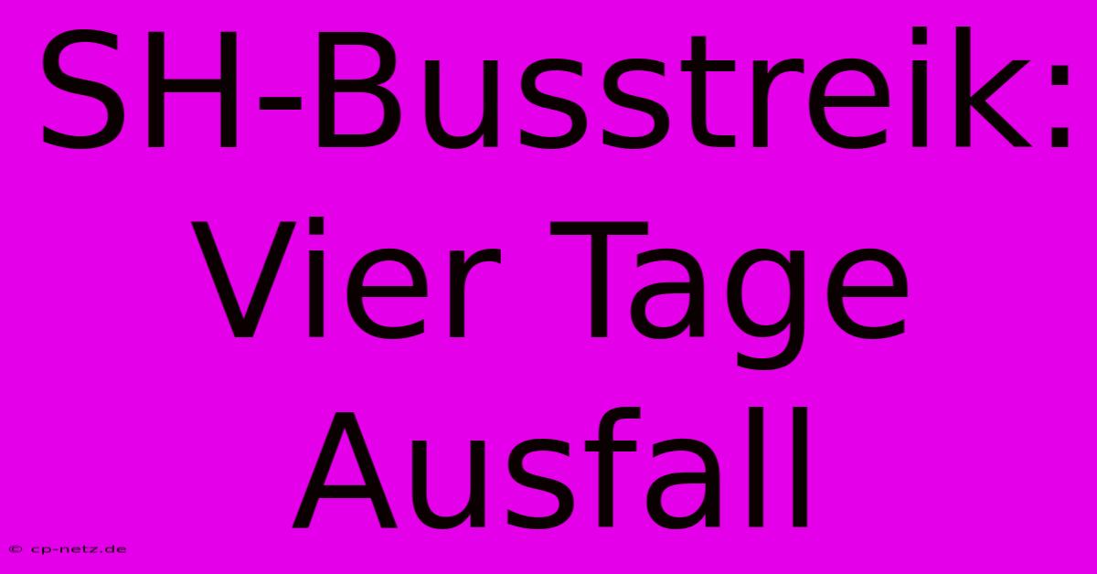 SH-Busstreik: Vier Tage Ausfall