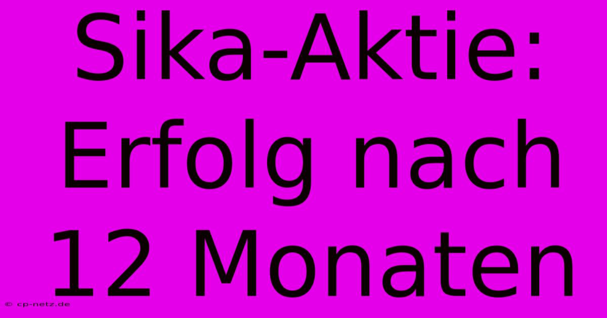 Sika-Aktie:  Erfolg Nach 12 Monaten