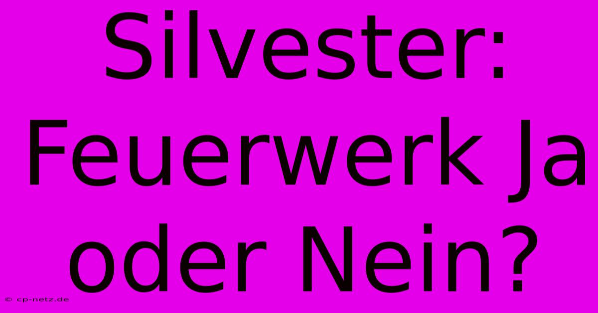 Silvester: Feuerwerk Ja Oder Nein?