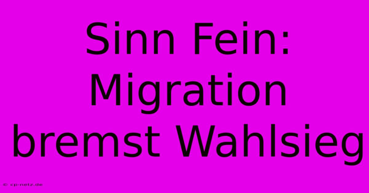 Sinn Fein: Migration Bremst Wahlsieg