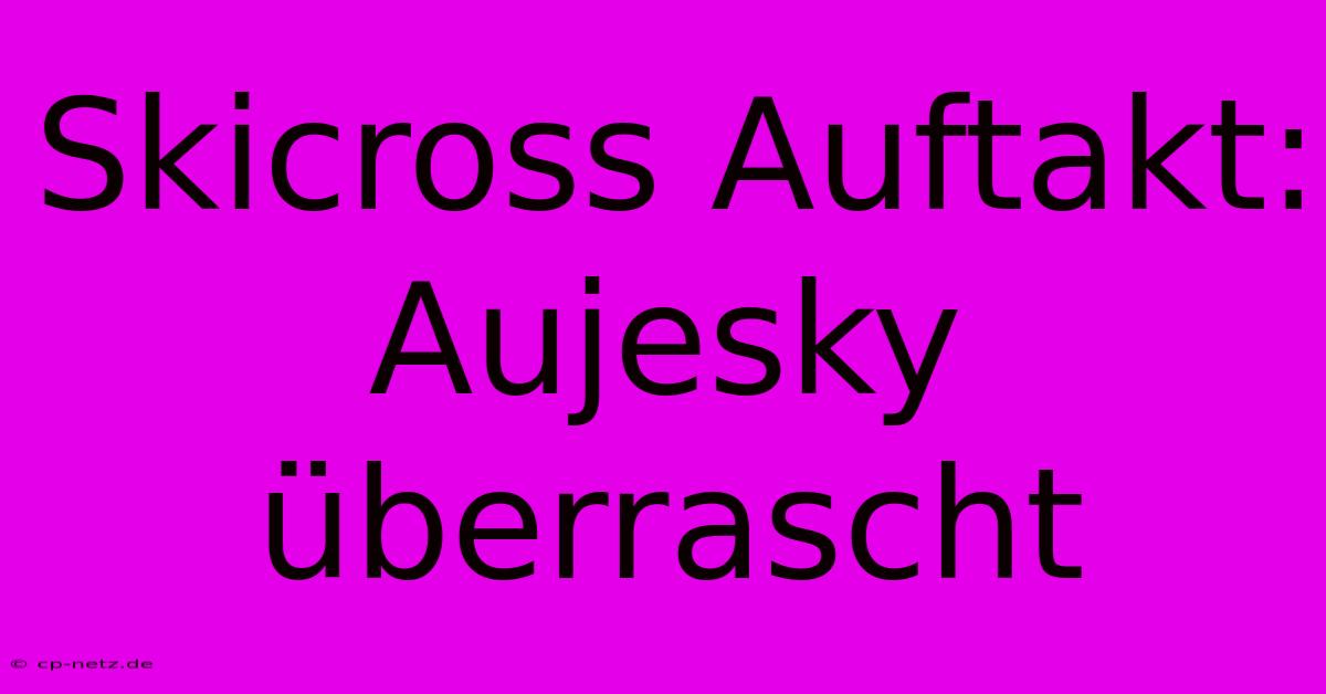 Skicross Auftakt: Aujesky Überrascht