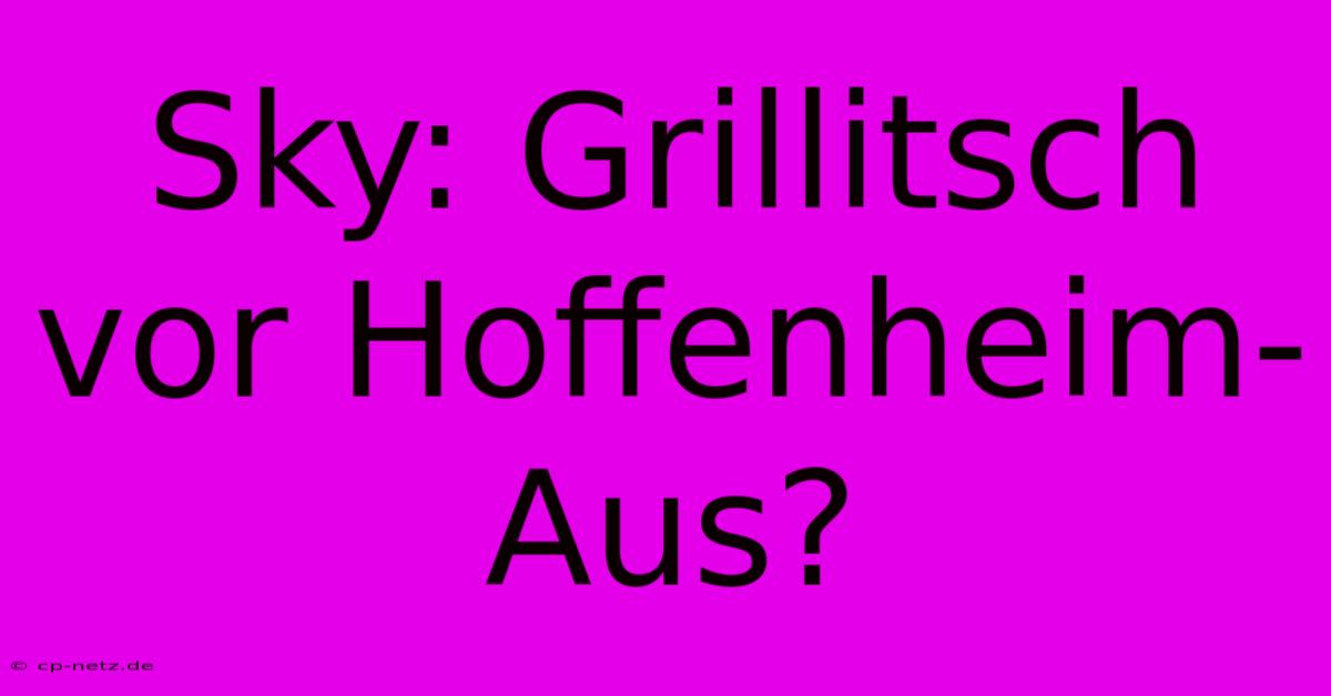 Sky: Grillitsch Vor Hoffenheim-Aus?