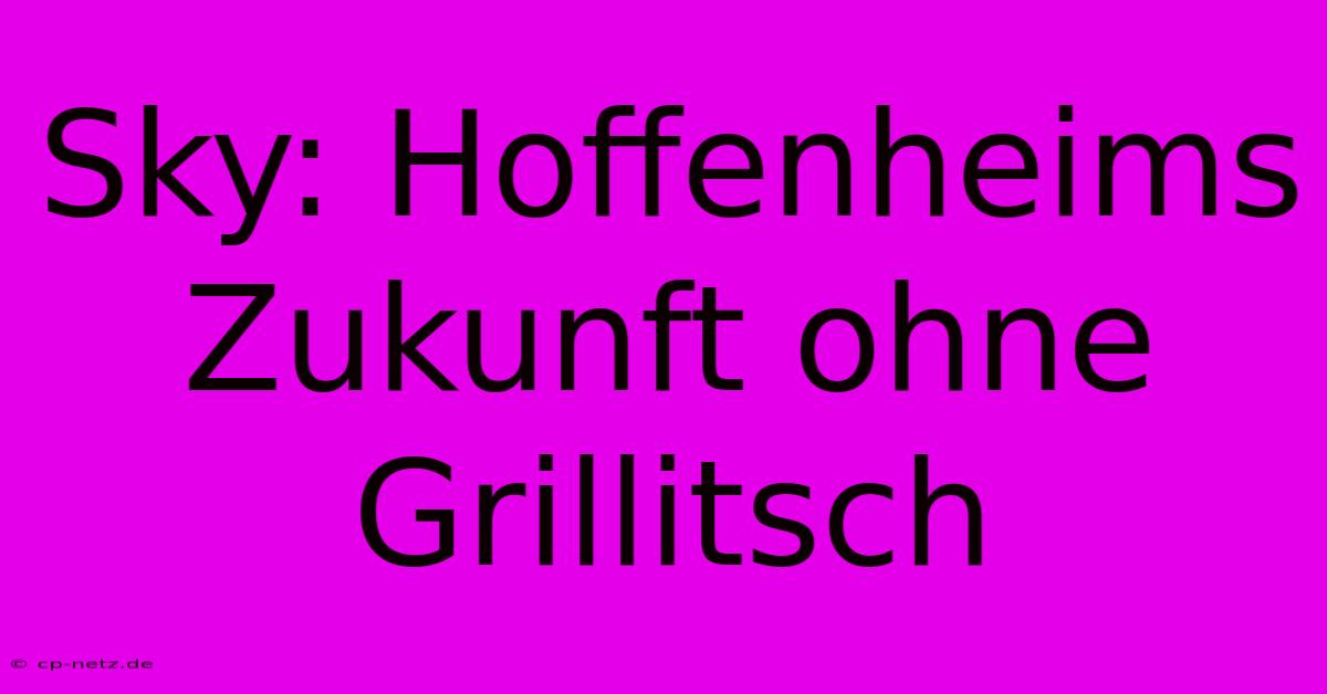 Sky: Hoffenheims Zukunft Ohne Grillitsch