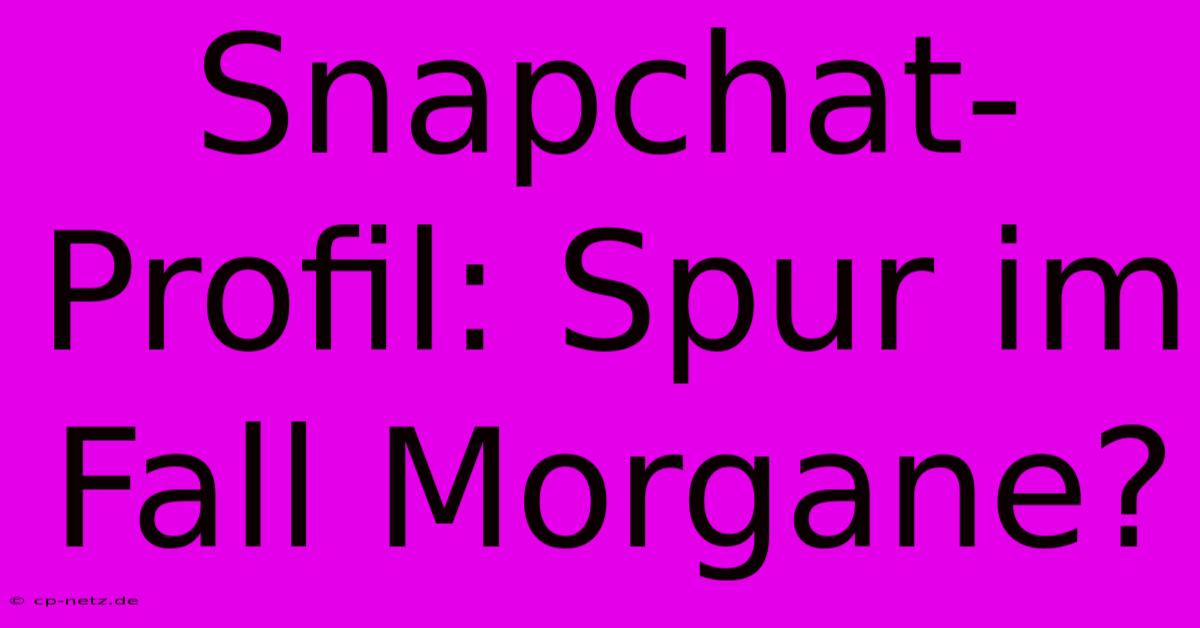 Snapchat-Profil: Spur Im Fall Morgane?