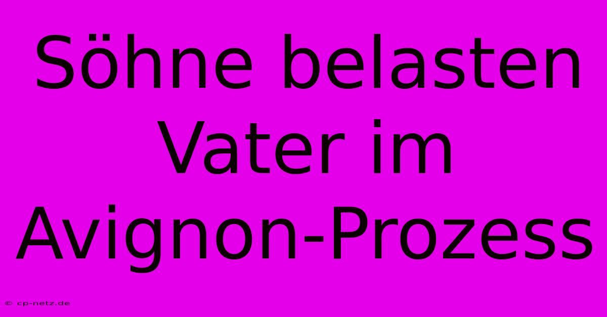 Söhne Belasten Vater Im Avignon-Prozess