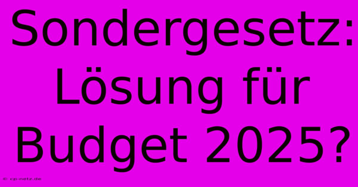 Sondergesetz: Lösung Für Budget 2025?