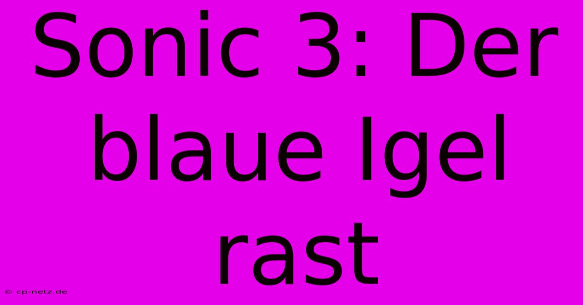 Sonic 3: Der Blaue Igel Rast