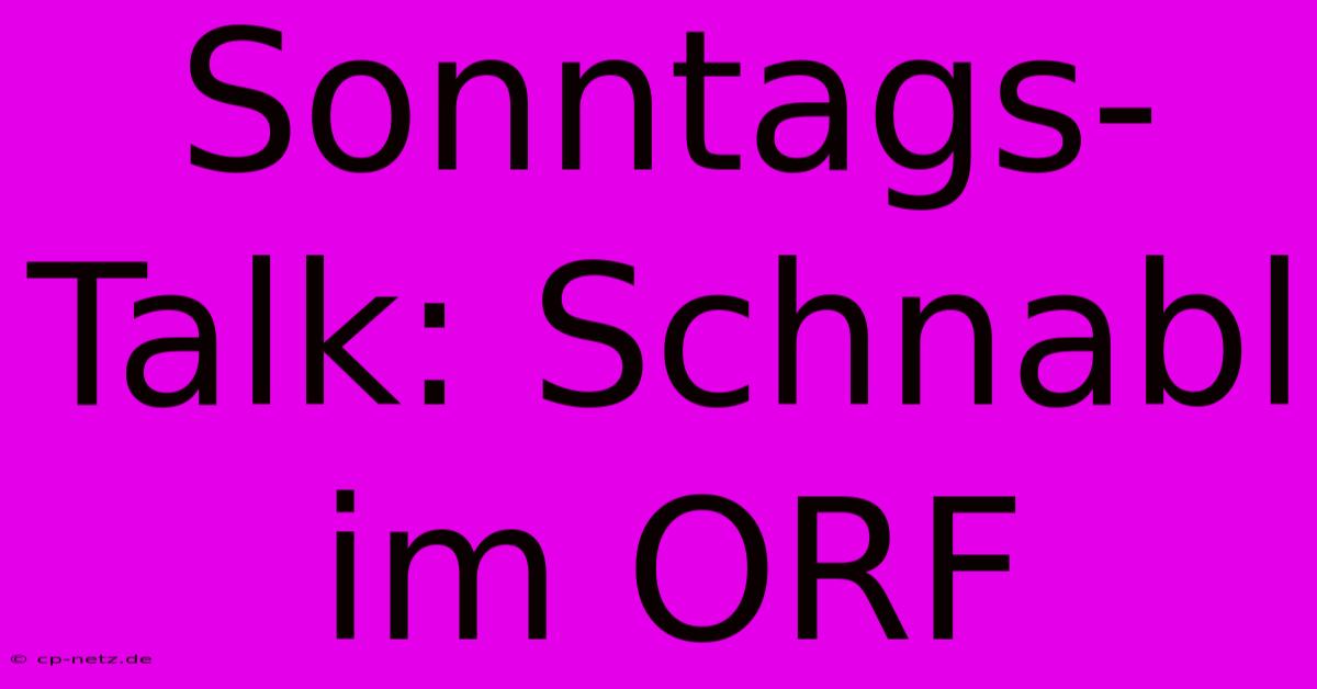 Sonntags-Talk: Schnabl Im ORF