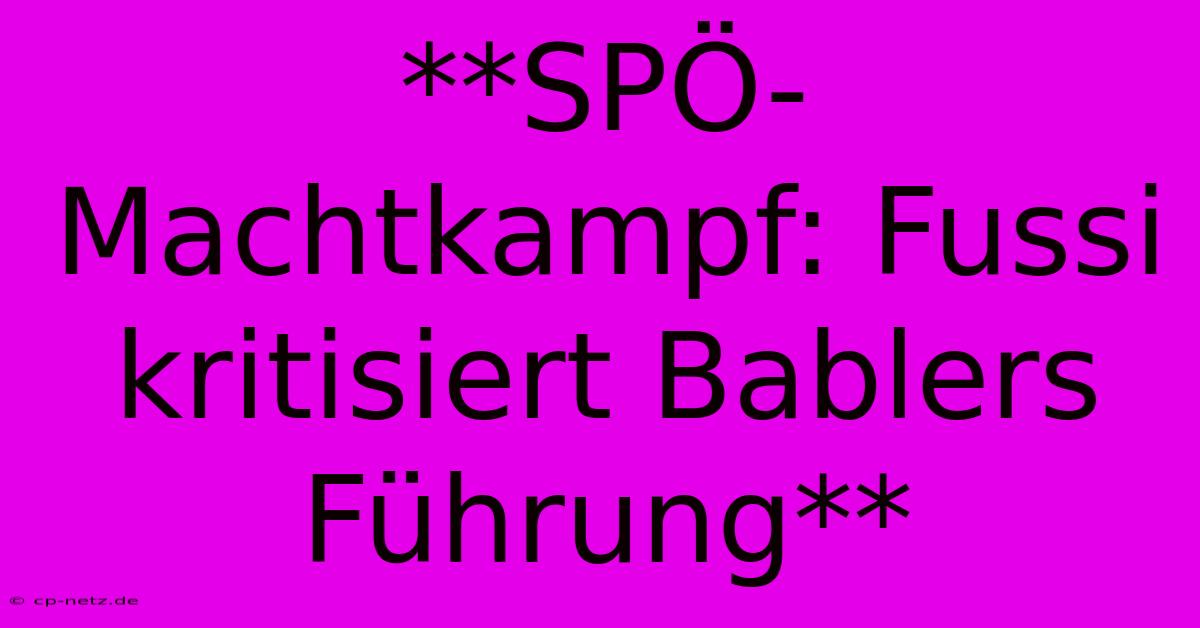 **SPÖ-Machtkampf: Fussi Kritisiert Bablers Führung** 