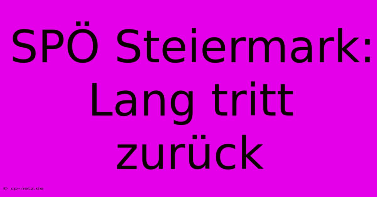 SPÖ Steiermark: Lang Tritt Zurück