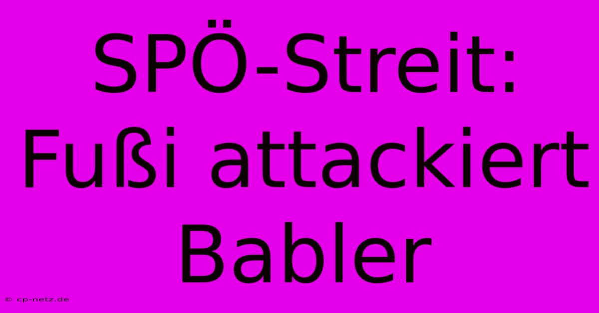 SPÖ-Streit: Fußi Attackiert Babler