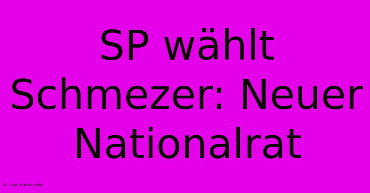 SP Wählt Schmezer: Neuer Nationalrat