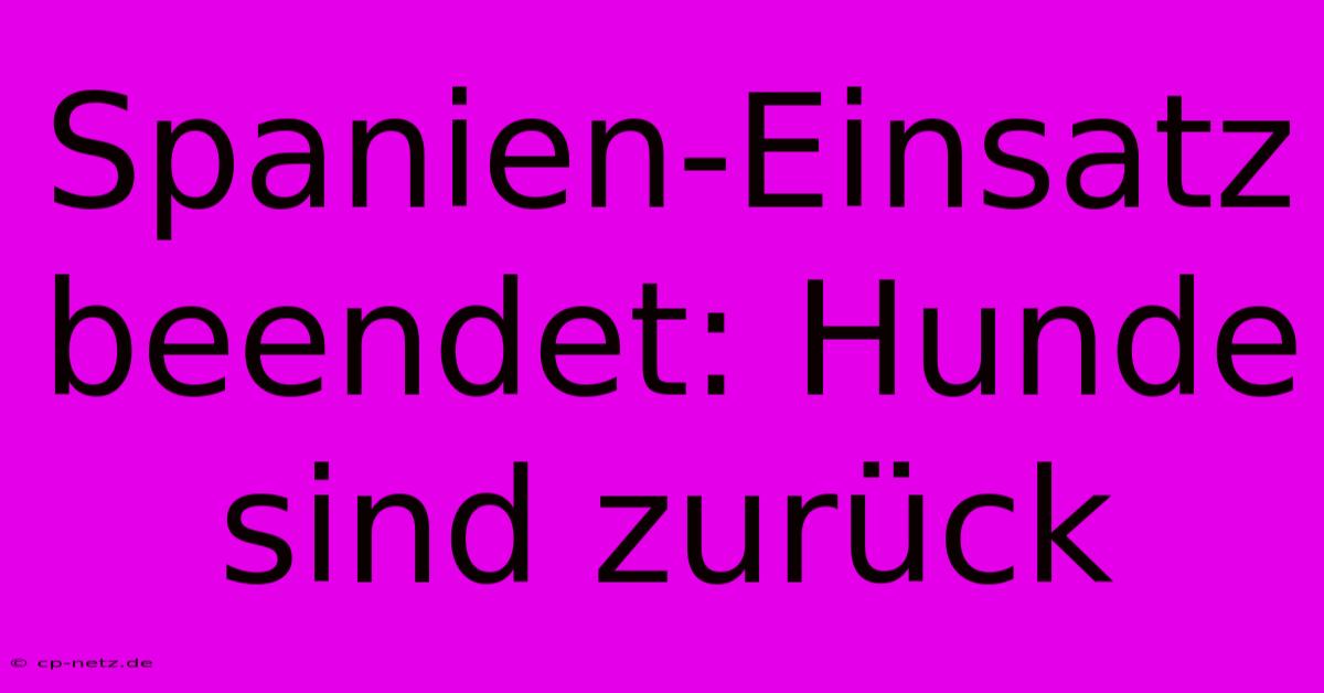 Spanien-Einsatz Beendet: Hunde Sind Zurück