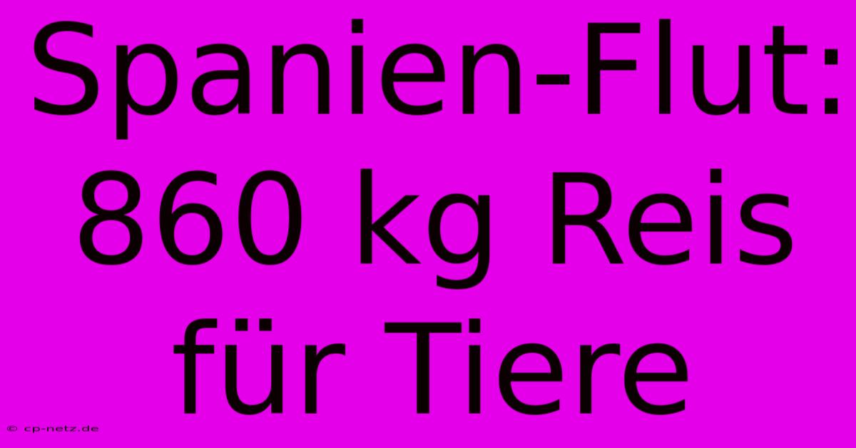 Spanien-Flut: 860 Kg Reis Für Tiere