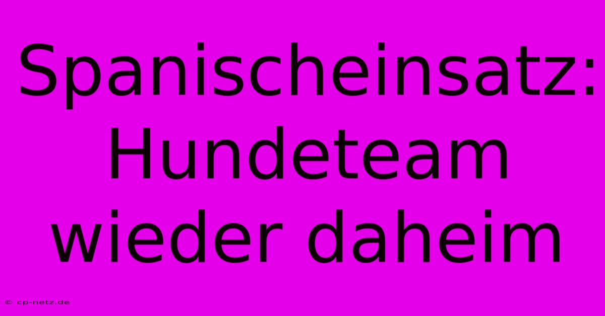 Spanischeinsatz: Hundeteam Wieder Daheim