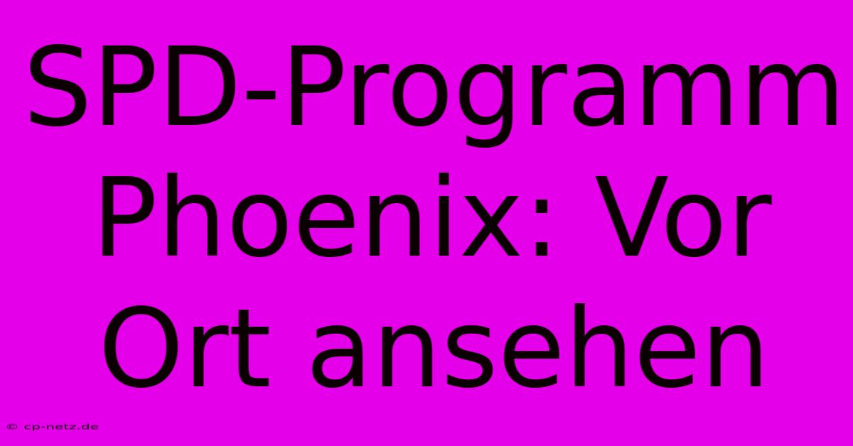 SPD-Programm Phoenix: Vor Ort Ansehen