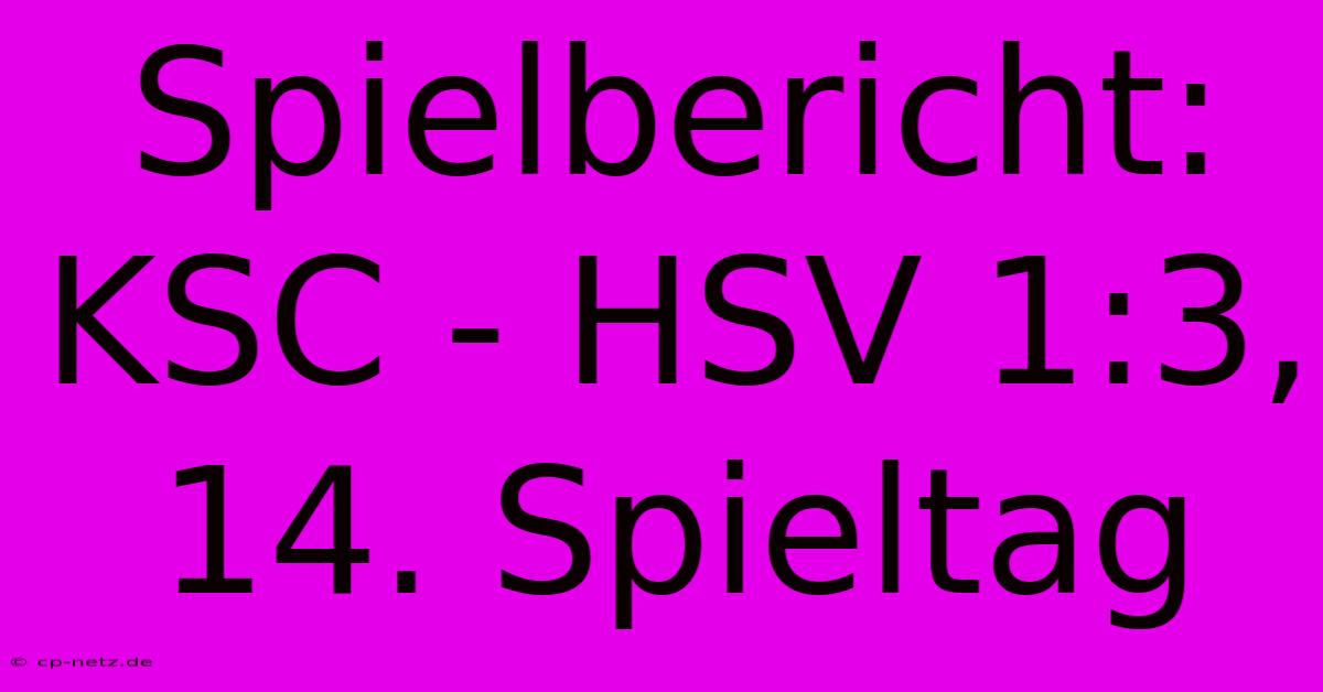 Spielbericht: KSC - HSV 1:3, 14. Spieltag