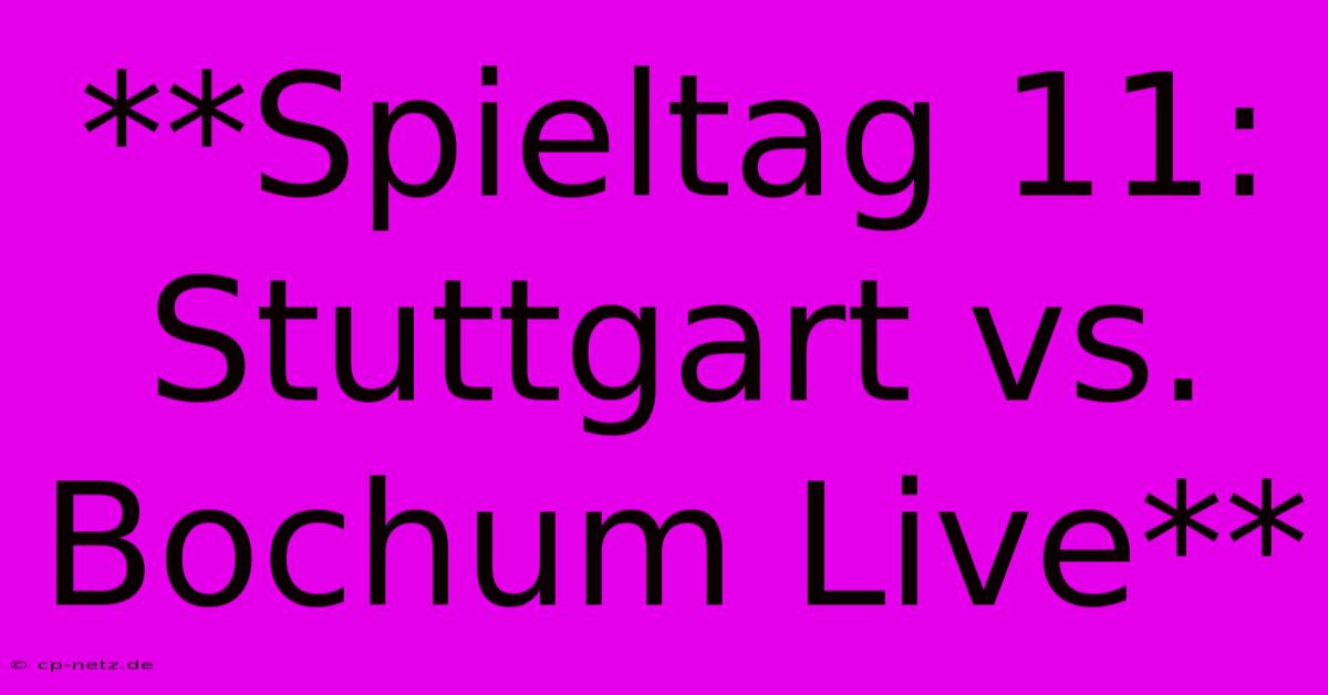 **Spieltag 11: Stuttgart Vs. Bochum Live**