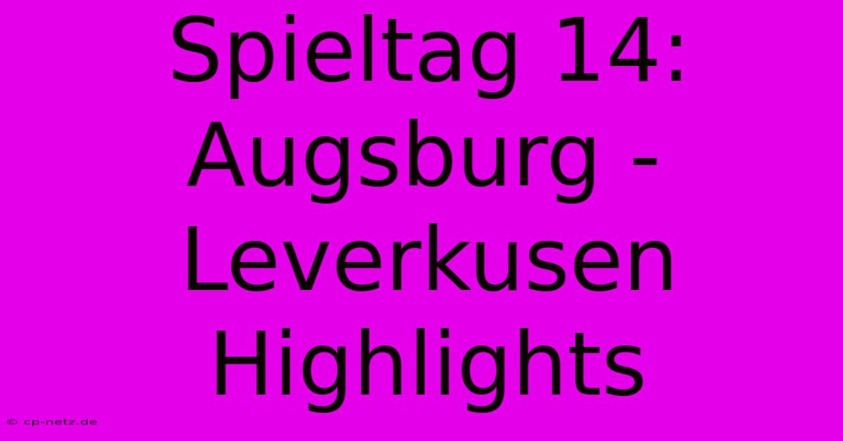 Spieltag 14: Augsburg - Leverkusen Highlights