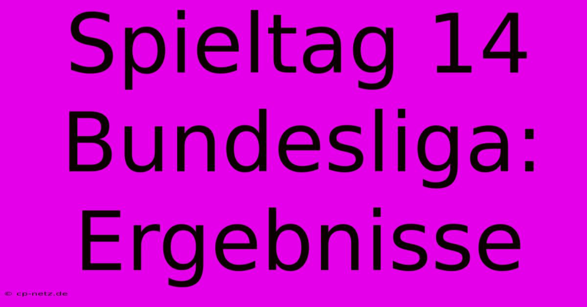 Spieltag 14 Bundesliga: Ergebnisse