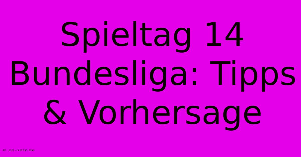 Spieltag 14 Bundesliga: Tipps & Vorhersage