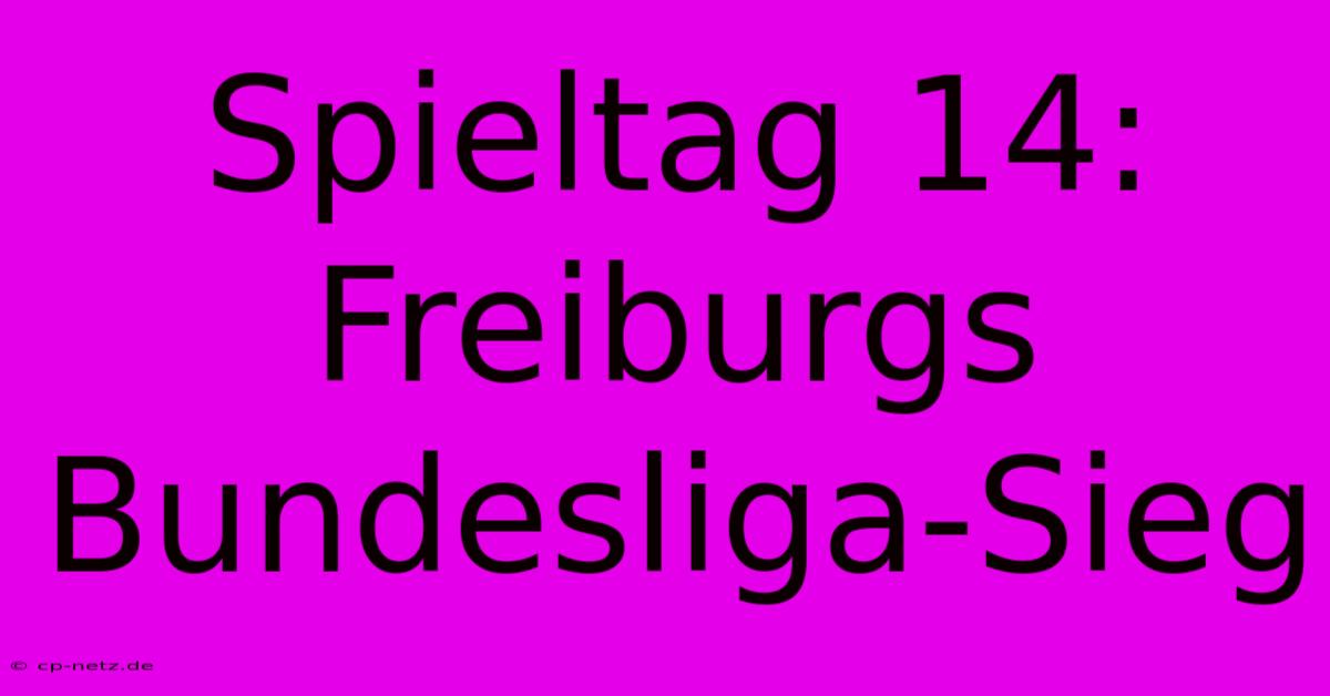 Spieltag 14: Freiburgs Bundesliga-Sieg