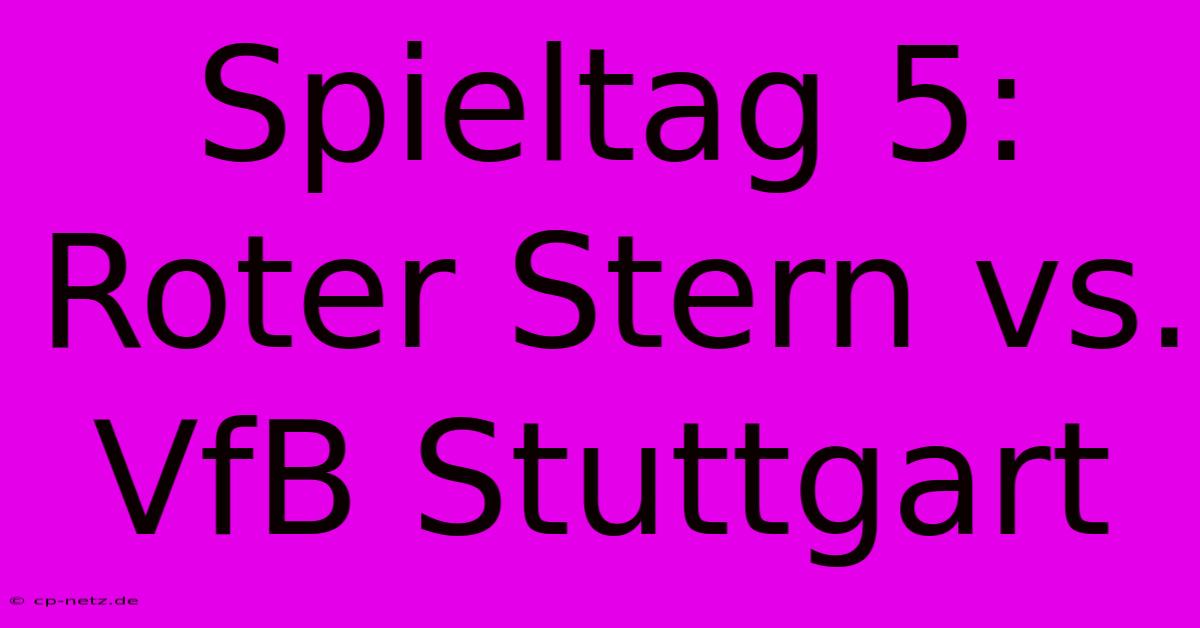 Spieltag 5: Roter Stern Vs. VfB Stuttgart