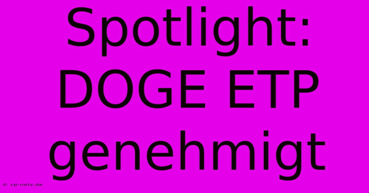 Spotlight: DOGE ETP Genehmigt