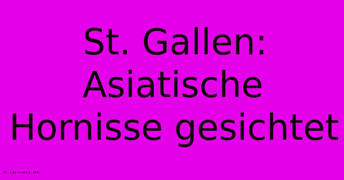 St. Gallen: Asiatische Hornisse Gesichtet