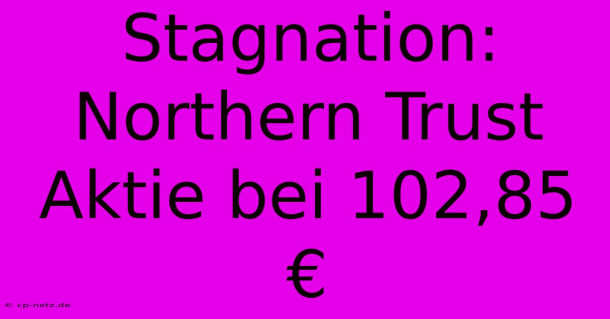 Stagnation: Northern Trust Aktie Bei 102,85 €