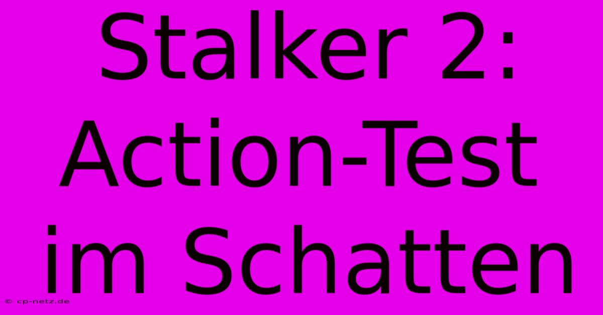 Stalker 2:  Action-Test Im Schatten