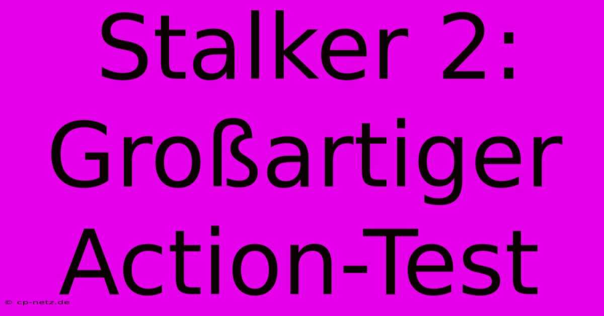 Stalker 2: Großartiger Action-Test