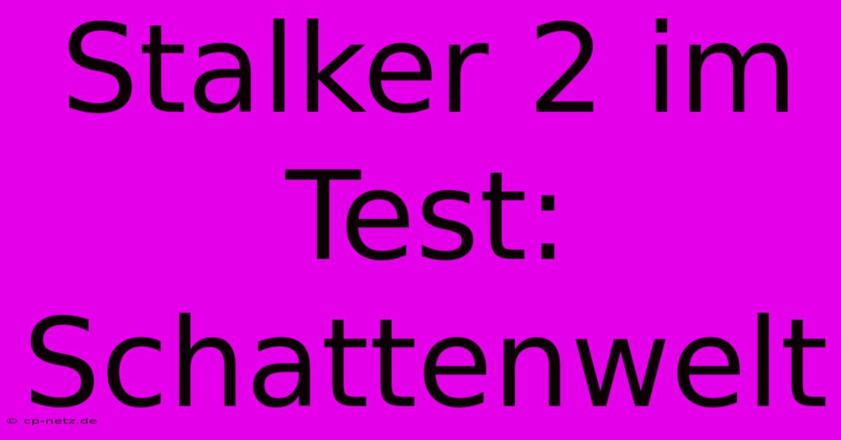 Stalker 2 Im Test: Schattenwelt