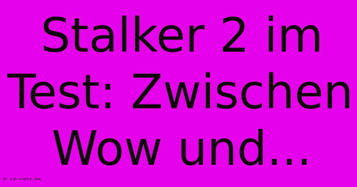 Stalker 2 Im Test: Zwischen Wow Und...