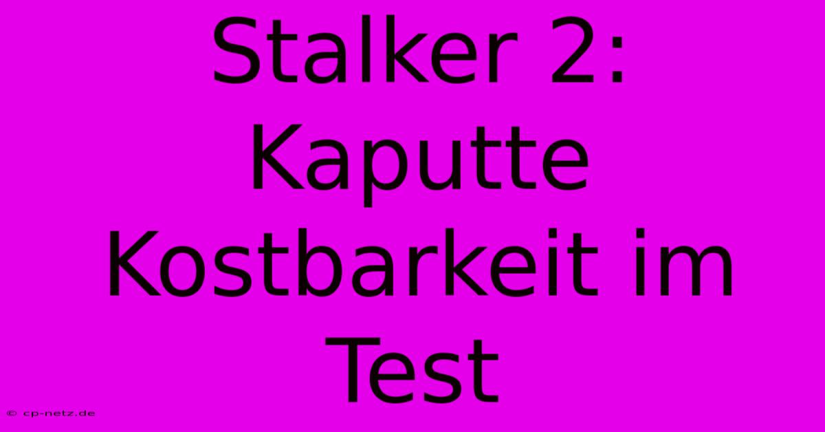 Stalker 2:  Kaputte Kostbarkeit Im Test