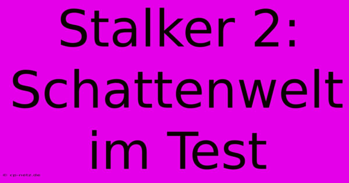 Stalker 2: Schattenwelt Im Test