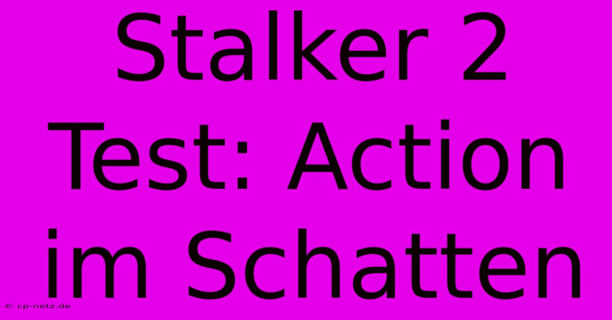 Stalker 2 Test: Action Im Schatten