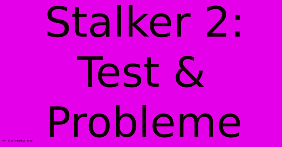 Stalker 2: Test & Probleme