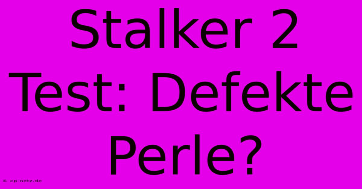 Stalker 2 Test: Defekte Perle?